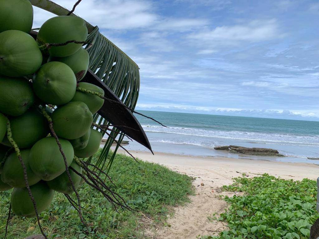 Casa No Paraiso Dos Carneiros Em Tamandaré Extérieur photo